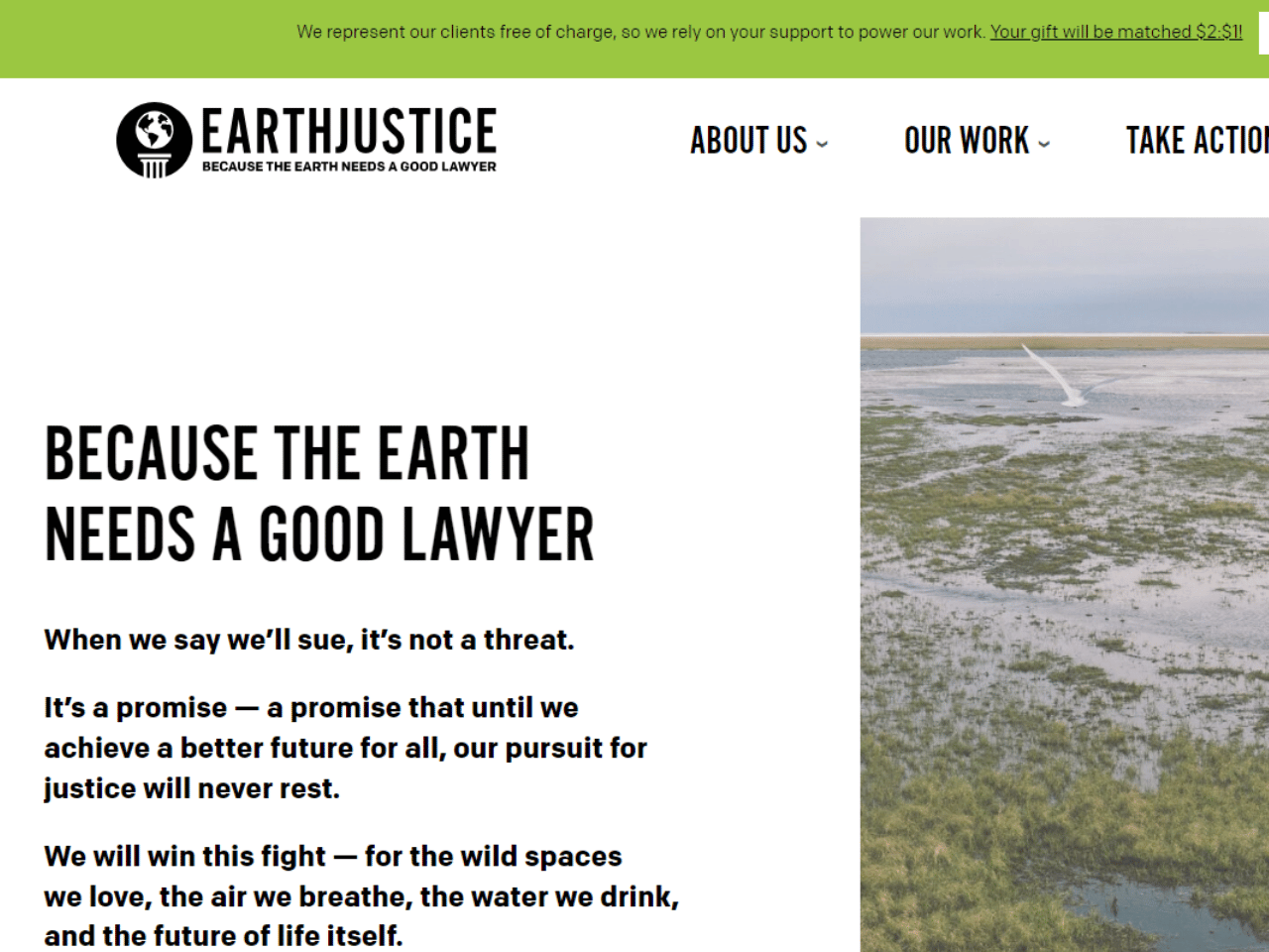 Earthjustice - Because the earth needs a good lawyer