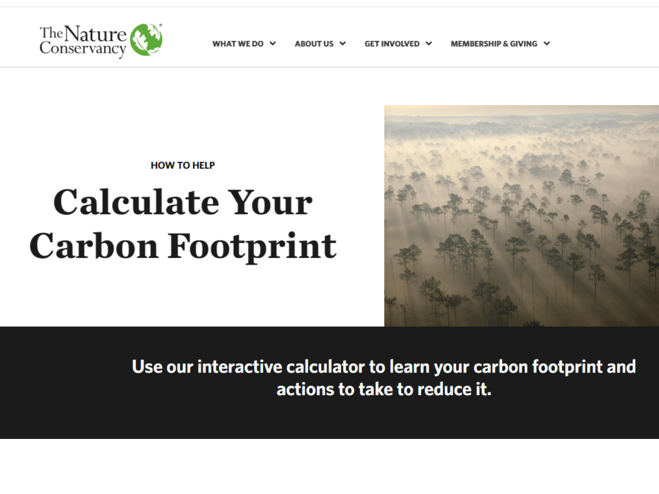 NAture Conservancy - Calculate your carbon footprint